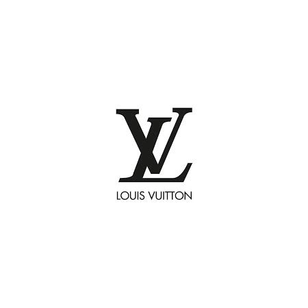 Louis Vuitton Logo Encadre Ccc
